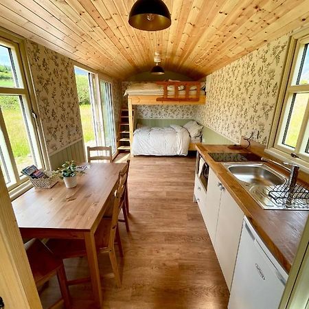 Villa Stepping Stones Glamping 'The Olive' Bantry Exterior foto