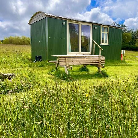 Villa Stepping Stones Glamping 'The Olive' Bantry Exterior foto